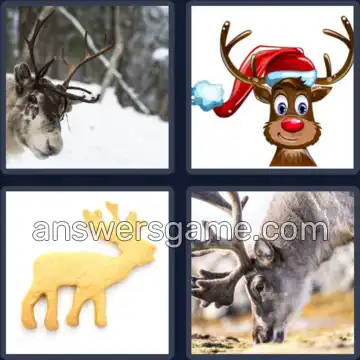4 Pics 1 Word 8 Letters REINDEER