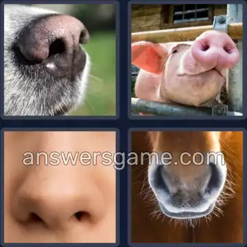 4 Pics 1 Word 8 Letters NOSTRILS