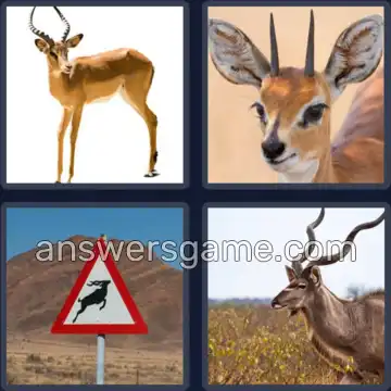 4 Pics 1 Word 8 Letters ANTELOPE