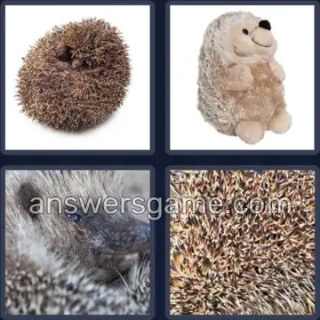 4 Pics 1 Word 8 Letters HEDGEHOG
