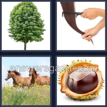 4 Pics 1 Word 8 Letters CHESTNUT