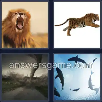 4 Pics 1 Word 9 Letters FEROCIOUS