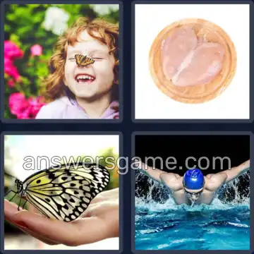 4 Pics 1 Word 9 Letters BUTTERFLY