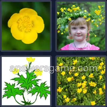 4 Pics 1 Word 9 Letters BUTTERCUP
