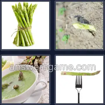 4 Pics 1 Word 9 Letters ASPARAGUS