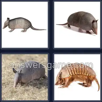 4 Pics 1 Word 9 Letters ARMADILLO