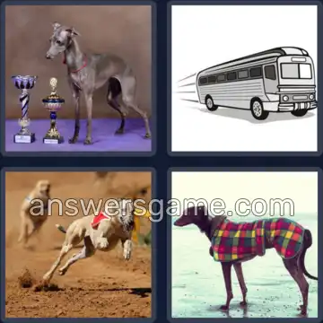 4 Pics 1 Word 9 Letters GREYHOUND