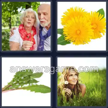 4 Pics 1 Word 9 Letters DANDELION