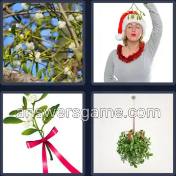 4 Pics 1 Word 9 Letters MISTLETOE