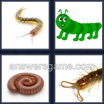 4 Pics 1 Word 9 Letters CENTIPEDE