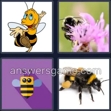 4 Pics 1 Word 9 Letters BUMBLEBEE