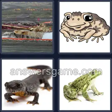 4 Pics 1 Word 9 Letters AMPHIBIAN