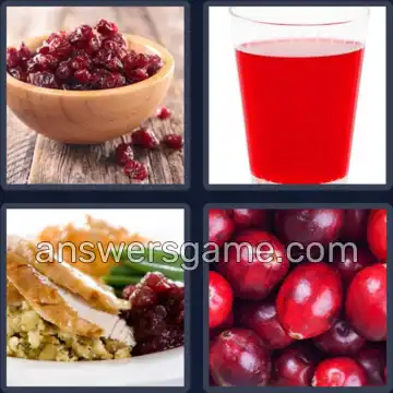 4 Pics 1 Word 9 Letters CRANBERRY