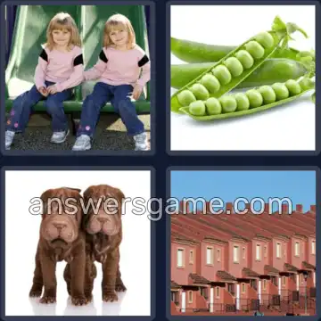 4 Pics 1 Word 9 Letters IDENTICAL