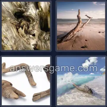 4 Pics 1 Word 9 Letters DRIFTWOOD