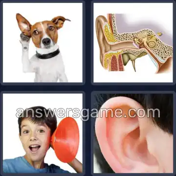 4 Fotos 1 Palabra 3 letras OIR