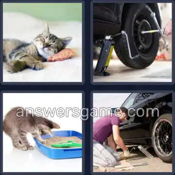 4 Fotos 1 Palabra 4 letras GATO