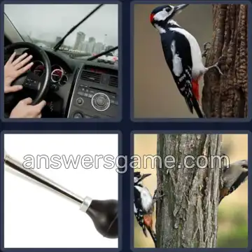 4 Fotos 1 Palabra 4 letras PITO