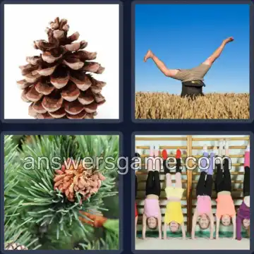 4 Fotos 1 Palabra 4 letras PINO