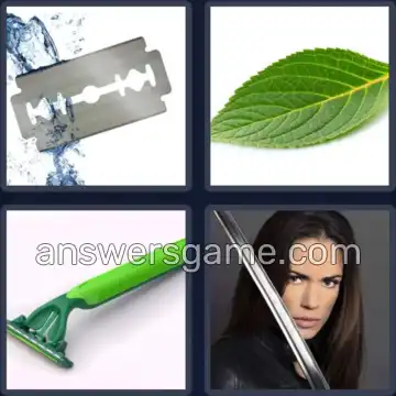 4 Fotos 1 Palabra 4 letras HOJA