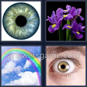 4 Fotos 1 Palabra 4 letras IRIS