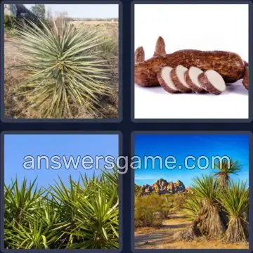 4 Fotos 1 Palabra 4 letras YUCA