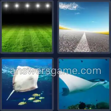 4 Fotos 1 Palabra 4 letras RAYA