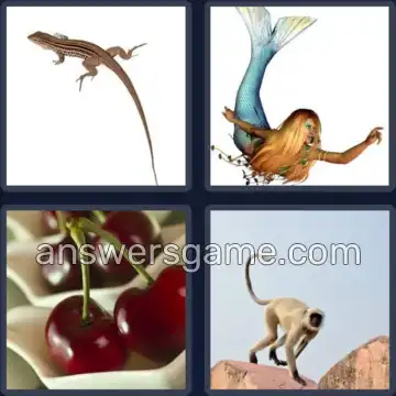 4 Fotos 1 Palabra 4 letras RABO