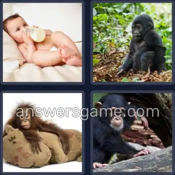 4 Fotos 1 Palabra 4 letras BEBE