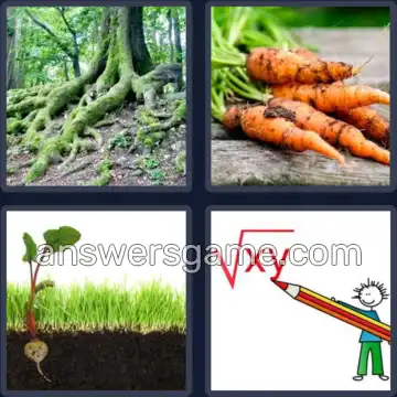 4 Fotos 1 Palabra 4 letras RAIZ