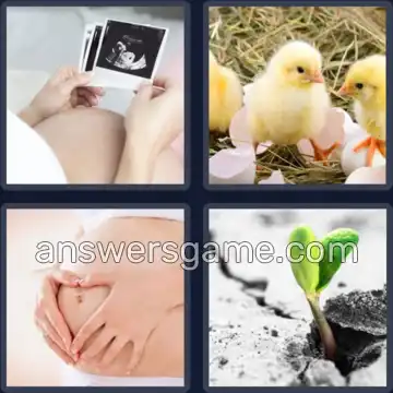 4 Fotos 1 Palabra 4 letras VIDA