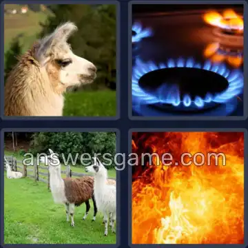 4 Fotos 1 Palabra 5 letras LLAMA