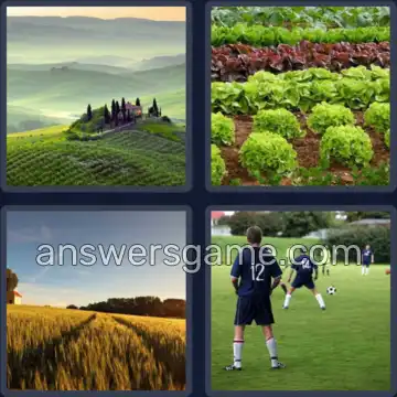 4 Fotos 1 Palabra 5 letras CAMPO