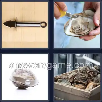 4 Fotos 1 Palabra 5 letras OSTRA