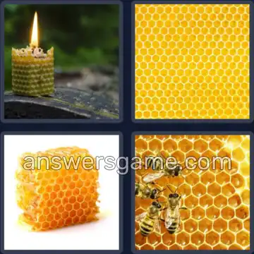 4 Fotos 1 Palabra 5 letras PANAL