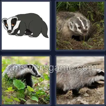 4 Fotos 1 Palabra 5 letras TEJON