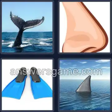 4 Fotos 1 Palabra 5 letras ALETA