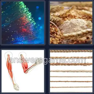 4 Fotos 1 Palabra 5 letras FIBRA