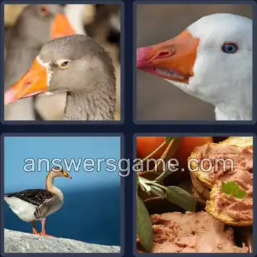 4 Fotos 1 Palabra 5 letras GANSO