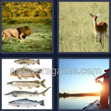 4 Fotos 1 Palabra 5 letras PRESA