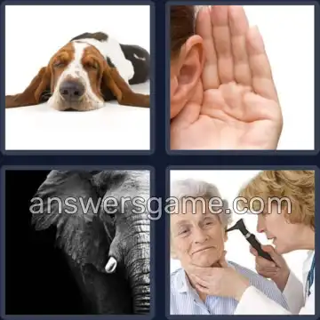 4 Fotos 1 Palabra 5 letras OREJA