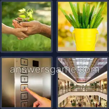 4 Fotos 1 Palabra 6 letras PLANTA