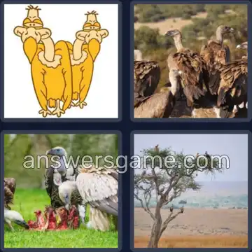 4 Fotos 1 Palabra 6 letras BUITRE