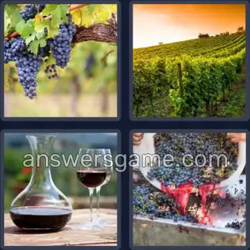 4 Fotos 1 Palabra 6 letras VIÑEDO