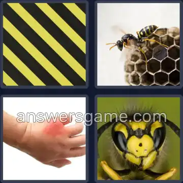 4 Fotos 1 Palabra 6 letras AVISPA