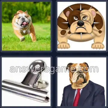 4 Fotos 1 Palabra 6 letras BULDOG