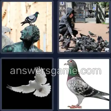 4 Fotos 1 Palabra 6 letras PALOMA