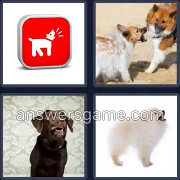 4 Fotos 1 Palabra 6 letras LADRAR