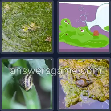 4 Fotos 1 Palabra 6 letras BABOSO