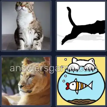 4 Fotos 1 Palabra 6 letras FELINO